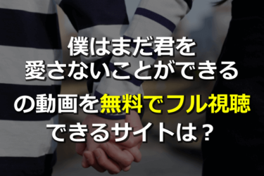 【1話-最終回】僕はまだ君を愛さないことができる のドラマ見逃し動画を無料フル視聴する方法！見放題サービスまとめ