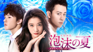 泡沫の夏～トライアングル ラブ～ の動画を無料で見る裏ワザ（1話～36話最終回）チャン・シュエイン/チン・ジュンジエ 再放送・見逃し配信【韓流・アジア ドラマフル視聴】