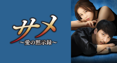 サメ～愛の黙示録～ の動画を無料で見る裏ワザ（1話 2話 3話 4話 5話 6話 7話 8話 9話 10話 11話 12話 13話 14話 15話 16話 17話 18話 19話 20話最終回 続編）キム・ナムギル/ソン・イェジン 再放送・見逃し配信【ドラマフル視聴】