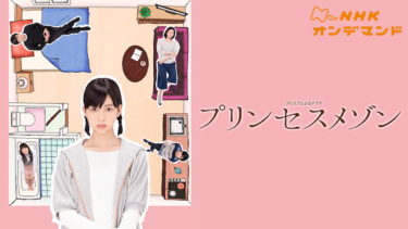 『プリンセスメゾン』の動画を無料で見る裏ワザ（第1話～第8話(最終回)）森川葵/志尊淳 再放送・見逃し配信【ドラマフル視聴】