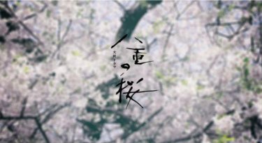 『大河ドラマ 八重の桜』の動画を無料で見る裏ワザ（第1話～第50話(最終回)）綾瀬はるか/西島秀俊 再放送・見逃し配信【ドラマフル視聴】