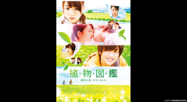 植物図鑑　運命の恋、ひろいました を無料動画で見る裏ワザ（続編・ドラマ版） 岩田剛典/高畑充希 地上波テレビ放送は？【映画フル視聴】