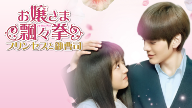 『お嬢さま飄々拳 ～プリンセスと御曹司～』の動画を無料で見る裏ワザ（第1話～第12話(最終回)）ビー・ウェンジュン/スン・チエン 再放送・見逃し配信【韓流・アジア ドラマフル視聴】