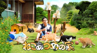 『ねこあつめの家』を無料動画で見る裏ワザ（続編・ドラマ版） 伊藤淳史/忽那汐里 地上波テレビ放送は？【映画フル視聴】