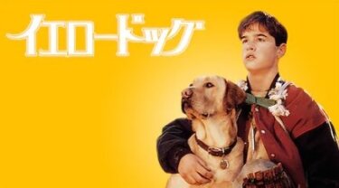 『イエロードッグ』を無料動画で見る裏ワザ 広田雅宣/佐々木勝彦 地上波テレビ放送は？【映画フル視聴】
