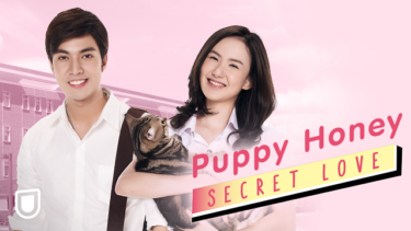 『Puppy Honey』の動画を無料で見る裏ワザ（第1話～第6話(最終回) 続編） カン・コーン・シリソーン/シェーリーン・ナッチャリー・ホラウェクン 再放送・見逃し配信【韓流・アジア ドラマフル視聴】